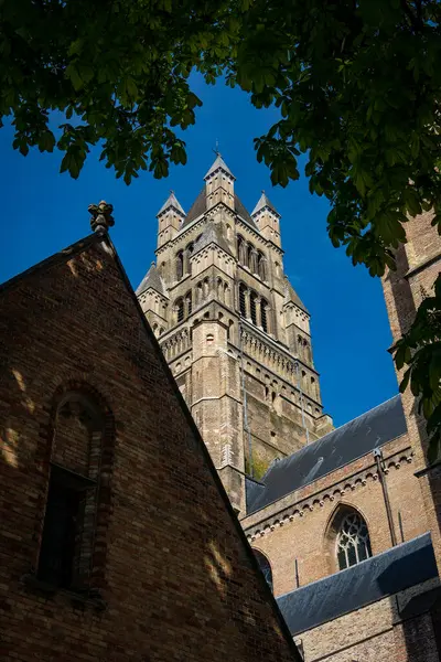 Bruges 'ün en ünlü katedralinin muhteşem anıtı Sint Salvatorskathedraal. Fotoğraf, güneşli bir günde mavi bir gökyüzünün altında çekildi. Özellikle de günbatımı renkleriyle..