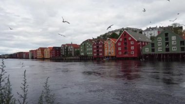 Norveç 'e gideceğiz. Norveç fiyortlarının doğasının güzel manzaraları.