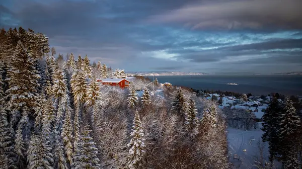 Trondheim, Norveç. Norveç, Trondheim 'da kış aylarında şehir merkezinin hava manzarası. Kar, nehir ve tarihi renkli binalar.