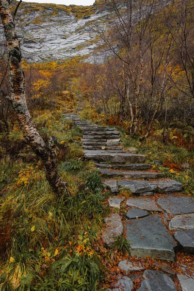 Stone stairs to the top of Reinebringen. Touristic path to the Reine viewpoint, Reine, Lofoten, Norway