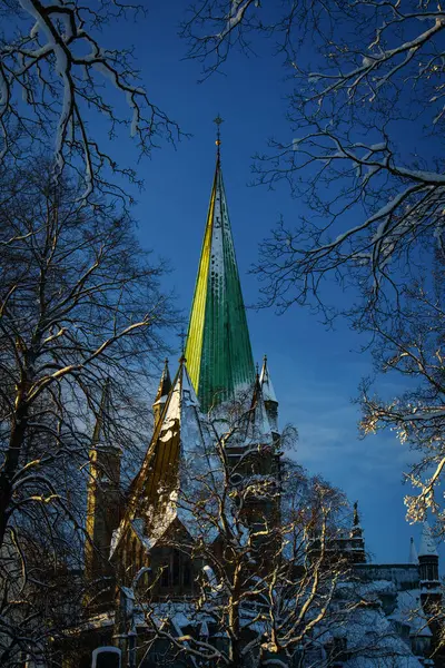Trondheim Norveç 'teki Nidaros Katedrali' nin güzel bir manzarası..