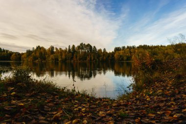 Güzel bir gün batımının göz kamaştırıcı manzarası ya da bir göl üzerinde gün doğumu ya da baharda ya da yazın erken saatlerinde akşam. Bulutlu bir gökyüzü, çimenler ve manzaranın önünde çiçekler. Yansıyan su.