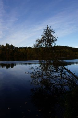 Güzel bir gün batımının göz kamaştırıcı manzarası ya da bir göl üzerinde gün doğumu ya da baharda ya da yazın erken saatlerinde akşam. Bulutlu bir gökyüzü, çimenler ve manzaranın önünde çiçekler. Yansıyan su.