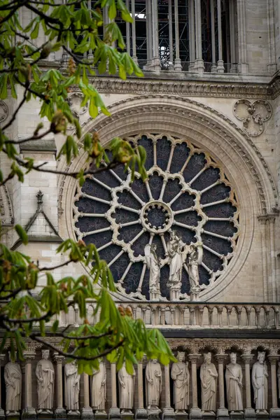Katedral Notre Dame de Paris 'in mimari detayları. Katedral Notre Dame de Paris - Cite Adası 'nın doğu yarısındaki en ünlü Gotik Katolik katedrali 1163-1345. Fransa, Avrupa.