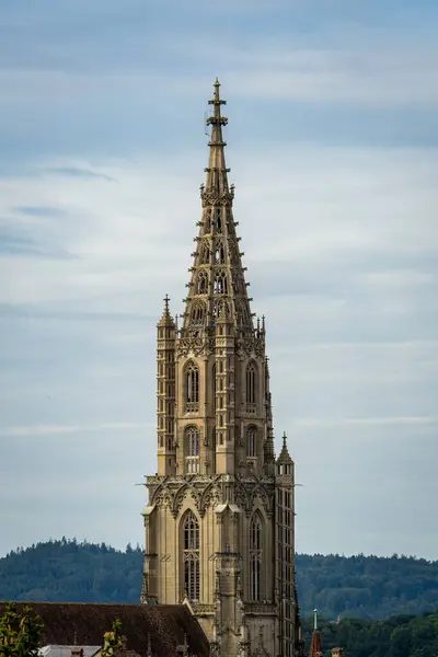 Bern Minster, İsviçre 'nin Bern şehrinde yer alan bir katedral. Gotik tarzda inşa edilmiş, İsviçre 'deki en uzun katedraldir.