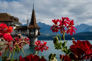 Oberhofen Castle at Lake Thunersee in swiss Alps, Switzerland. Schloss Oberhofen on the Lake Thun Thunersee in Bern Canton of Switzerland. Oberhofen castle on Lake Thun, Switzerland. clipart