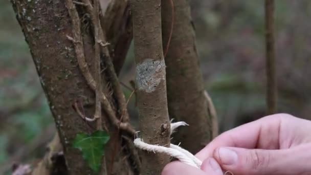 Survival Knot Tying Forest Close — Stock Video