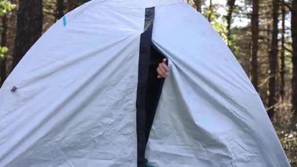 夏日日出时 一位年轻的露营者从帐篷里出来 张开双臂 微笑着 品味着大自然中新一天的开始 — 图库视频影像