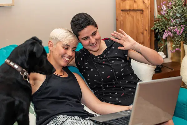 Lezbiyen bir çift ve siyah köpekleri evde oturup laptoplarıyla video görüşmesi yapıyorlar. Modern iletişim ve LGBTQ + yaşam tarzı kavramı