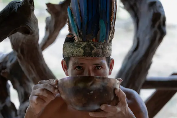 stock image indigenous man from the Wayuri tribe in Puyo, Ecuador, drinks chicha from a bowl while looking at the camera, adorned with a traditional feather crown