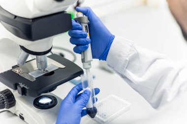 Mavi eldiven giyen bir bilim adamının yakın çekimi. Sıvıyı test tüpüne aktarmak için mikro pipet kullanmak. Arka planda mikroskop var. Laboratuvar ortamında bilimsel bir deney yürütüyorum.