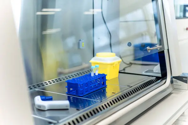 Laboratuvar ortamında temiz ve steril bir laboratuvar ortamında analiz bekleyen test tüpleri ve bir pipet içeren laminar akış dolabında tıbbi örnekler düzenlendi.