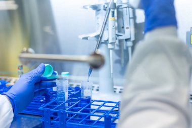 Eldivenli eldiven, modern laboratuardaki mikropipet kullanarak test tüplerine mavi reaktör ekleyerek hassas ve odaklı bilimsel deneyler yapıyor.