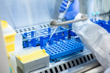 Steril giysi ve eldiven giyen bilim adamları laboratuvar araştırmaları sırasında laminar akış dolabında test tüpüne sıvı ekleyerek mikro pipet kullanıyorlar.