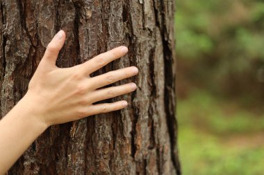 Doğayla bütünlük, çevreye özen. Elini ağaca koy..