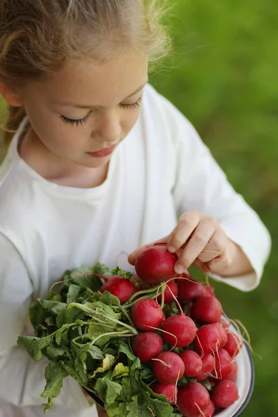 Niña Come Rábano Rojo Jardín Comida Saludable Primavera Primeras Verduras — Foto de Stock