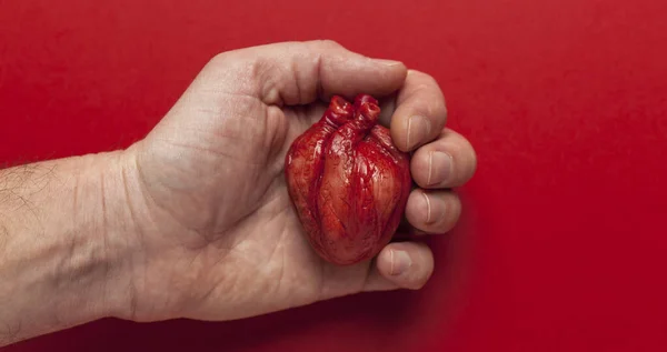 Heart disease prevention, hand holds heart on red background. Heart attack, high blood pressure.