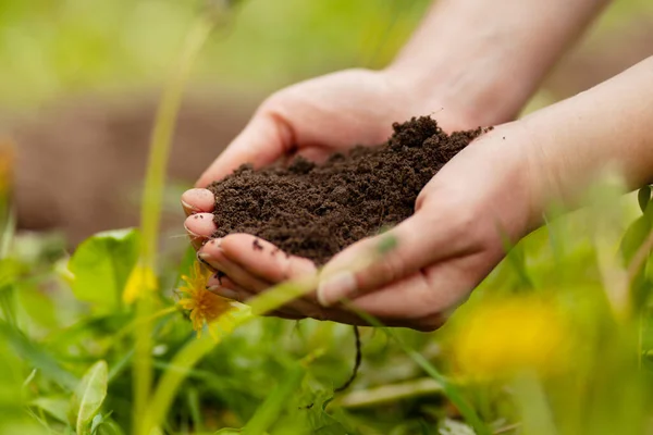 Fertile soil. Handful of earth in hand, sustainable farming.