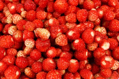 Background of small ripe strawberries, wild berries.