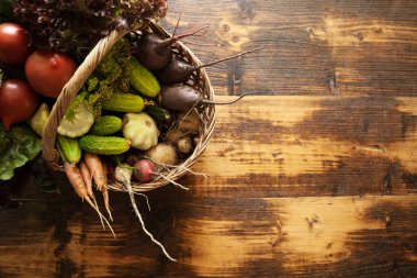 Taze organik çiğ sebze. Doğal tarım çiftliği, sağlıklı hasat..