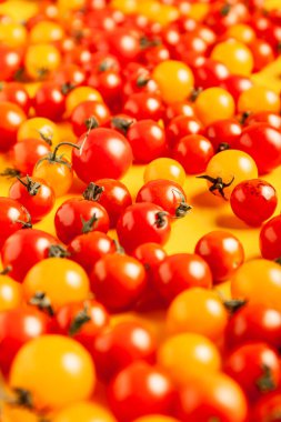 Sarı arka planda kırmızı ve sarı kiraz domatesleri. Taze, canlı organik sebzeler.