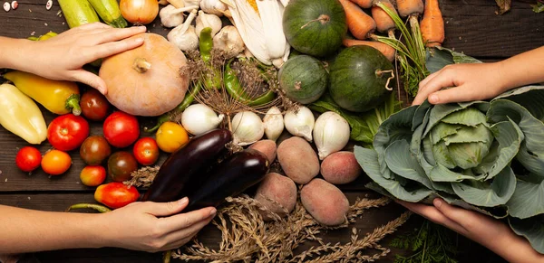 Legumes Frescos Quinta Alimentos Orgânicos Saudáveis Agricultura Colheita — Fotografia de Stock