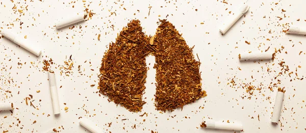 Sigara Içmek Için Tütün Insan Akciğeri Sigara Sigara Bağımlılığı Tütün — Stok fotoğraf