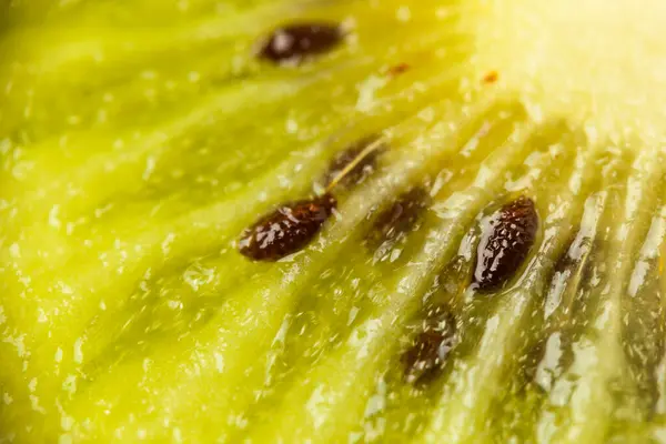Zelené Kiwi Ovoce Pozadí Textura Tropické Šťávy Zdravého Dezertu — Stock fotografie