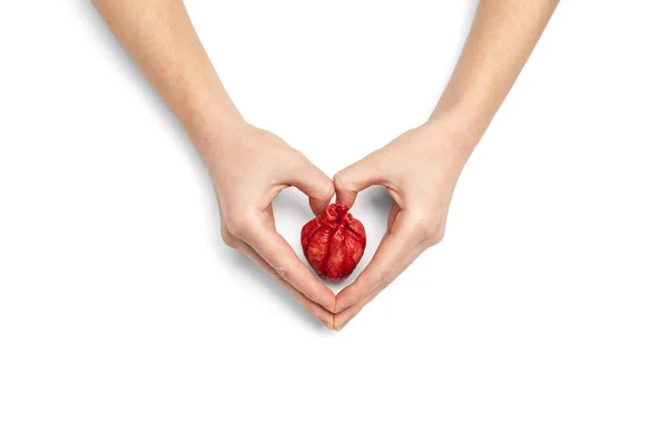 Coração Humano Mãos Isoladas Sobre Fundo Branco Ataque Cardíaco Insuficiência — Fotografia de Stock