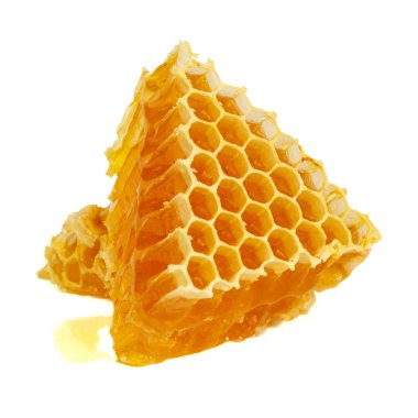 Healing wild honeycomb isolated on white background. Sweet natural and healthy delicacy. Propolis, beeswax and honey.