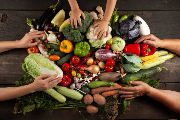 Mãos Realizar Colheita Outono Alimentos Saudáveis Legumes Frescos Locais Variados — Fotografia de Stock