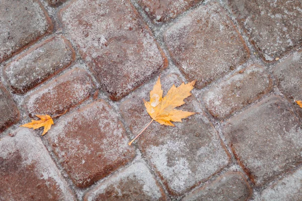 Icing Sidewalk City Rain Frosty Weather — Fotografia de Stock
