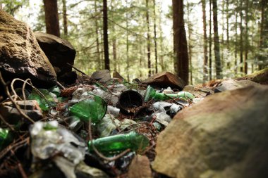 Ormandaki çöplük, plastikle çevre kirliliği.