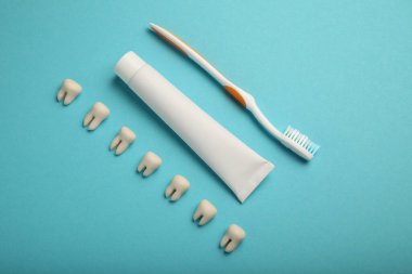 Diş minesi ve ağız boşluğunun bakımı, çocuk bakımı. Diş fırçaları.