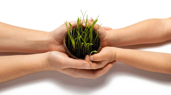 Mâinile Adulților Ale Copiilor Țin Iarba Verde Creștere Conceptul Ziua — Fotografie, imagine de stoc