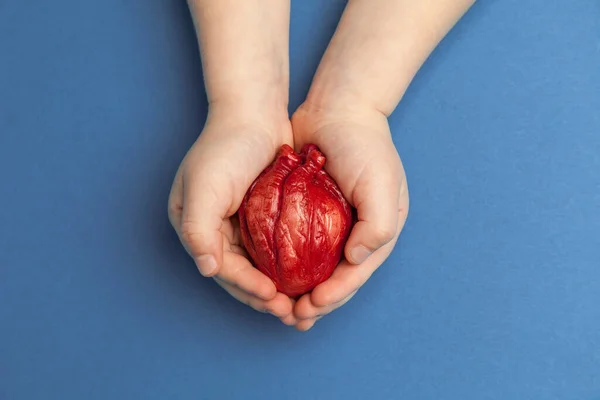 Transplante Coração Mãos Crianças Mantém Órgão Fundo Azul Cirurgia Coronária — Fotografia de Stock