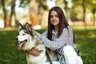 Zeki Husky. Ev sahibi ve evcil hayvan portresi. Köpek eğitme okulu.