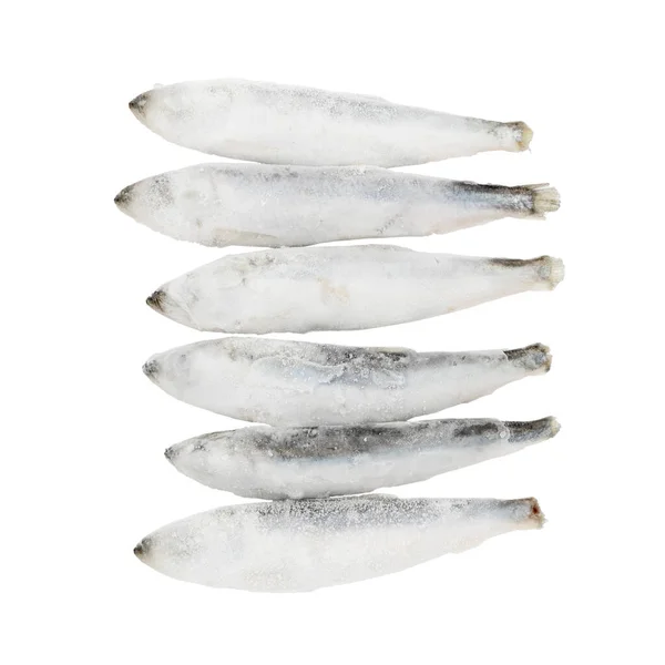 Arenque Selvagem Congelado Sobre Fundo Branco Peixe Com Ómega Vitamina — Fotografia de Stock