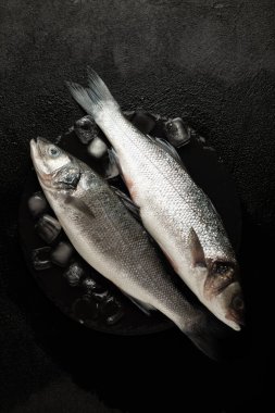 Buzda taze labrax, çiğ deniz balığı. Protein ve omega 3.