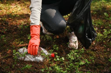 Ormandaki çöplük, plastikle çevre kirliliği.