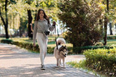 Bir kız parkta bir köpekle yürür. Hayvanlar için ürün reklamı. Outdoo