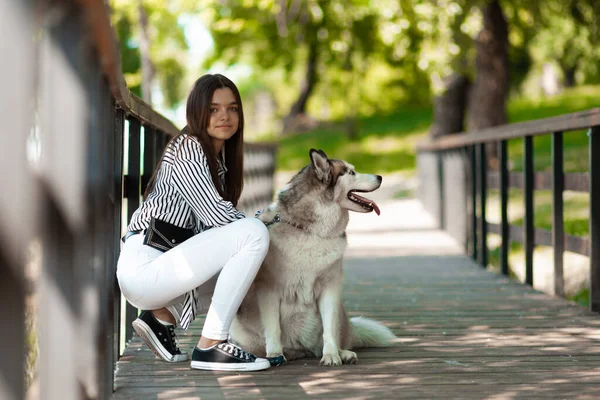 Девушка Собакой Позирует Фото Активный Отдых Животными Природе Прогулка Парку Стоковое Фото