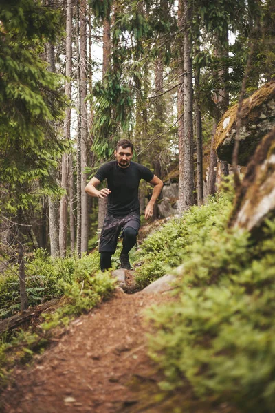 Einsamkeit Und Harmonie Mit Der Natur Eine Sportliche Bergwanderung Weiterjoggen lizenzfreie Stockfotos
