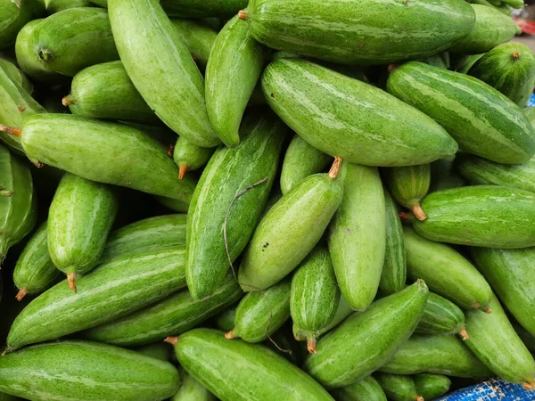 A pile of fresh green pointed gourd on a vegetable market