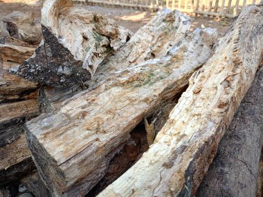 Evin bahçesinde bir odun yığını