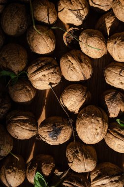 Daha yeni toplanan cevizlerin arkaplanı