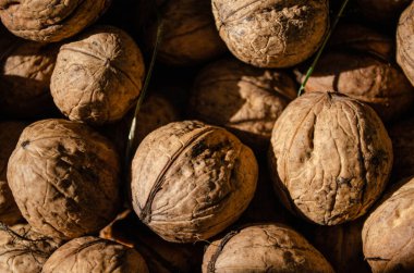 Daha yeni toplanan cevizlerin arkaplanı