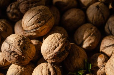 Daha yeni toplanan cevizlerin arkaplanı