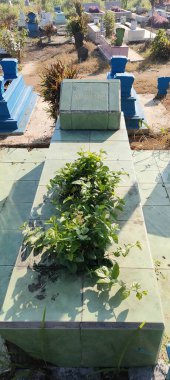 Issız bir Müslüman mezarı korkunç bir pirinç tarlasının ortasında.