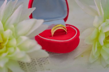 Altın yüzüklü kırmızı bir kutuda güzel altın yüzükler. Alyanslar